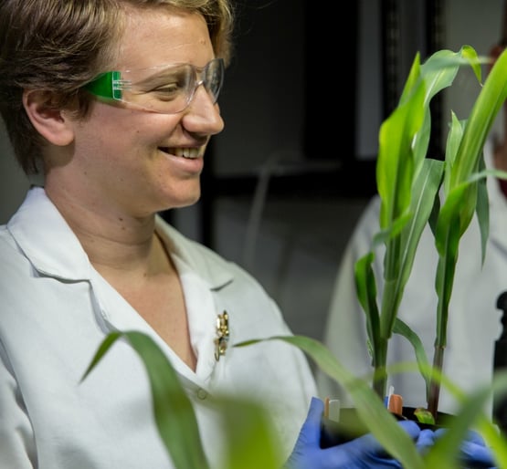 1_KcW4TXXokBQJhsi9lhlwIA