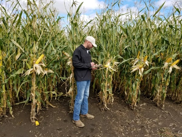 1_R1wzvpp6ocxVdw_iRqzFUA