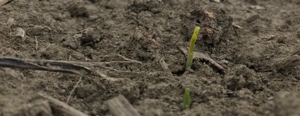 1_rj6YK0FBd0Zks-Sf4MzdLg