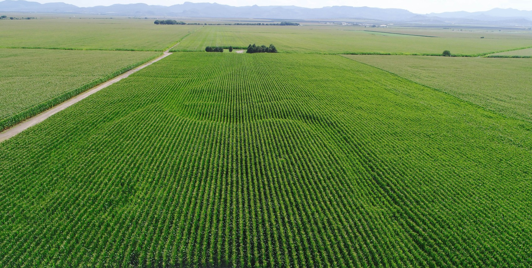 iStock-1216868613 (1)-1